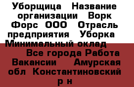 Уборщица › Название организации ­ Ворк Форс, ООО › Отрасль предприятия ­ Уборка › Минимальный оклад ­ 23 000 - Все города Работа » Вакансии   . Амурская обл.,Константиновский р-н